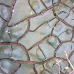 Screen Shot 2022-03-14 at 8.57.49 PM