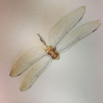 Screen Shot 2022-03-14 at 9.00.16 PM